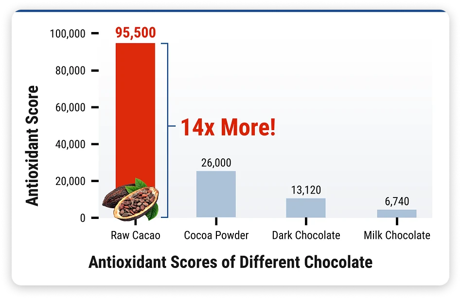 Bar chart of antioxidant scores: raw cacao 95,500, cocoa powder 26,000, dark chocolate 13,120, milk chocolate 6,740 — 14x more