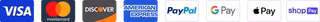 Visa, Mastercard, Discover, American Express, PayPal, Google Pay, Apple Pay, Shop Pay