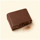 Rich chocolate