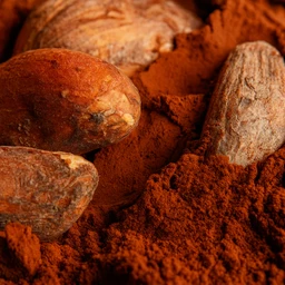 Organic Cinnamon