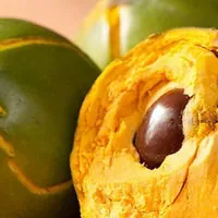 Organic Lucuma