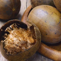 Organic Monk Fruit Powder