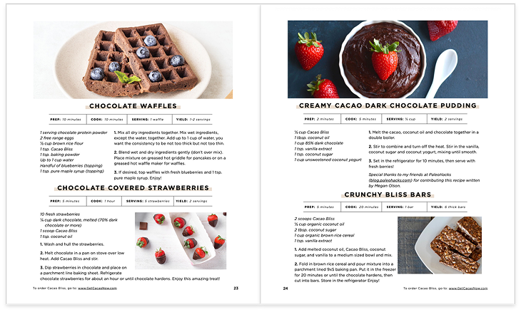 Cacao Lover's Cookbook recipe pages